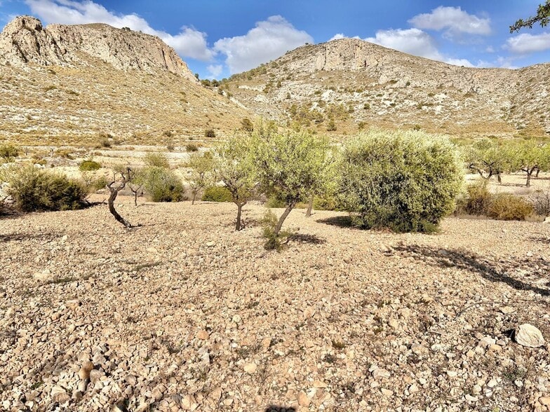Terrain dans Orihuela, Alicante à vendre - Aérien - Image 1 de 4