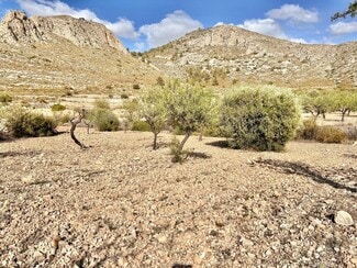 More details for Land for Sale