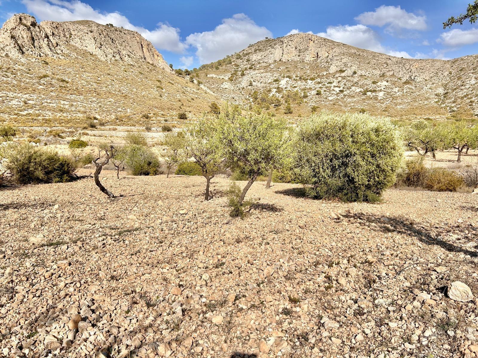 Terrain dans Orihuela, Alicante à vendre Aérien- Image 1 de 5