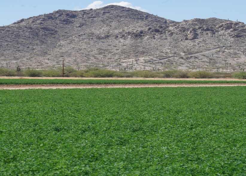 Fulcar Rd, Maricopa, AZ à vendre - Photo principale - Image 1 de 1