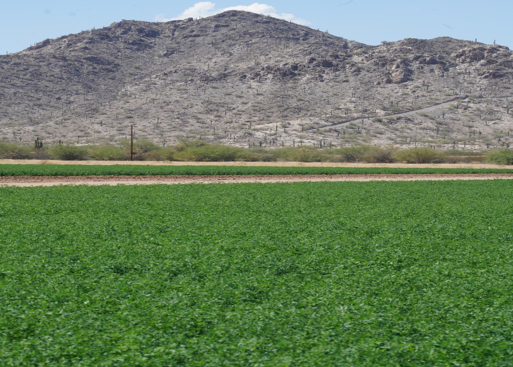 Fulcar Rd, Maricopa, AZ à vendre Photo principale- Image 1 de 1