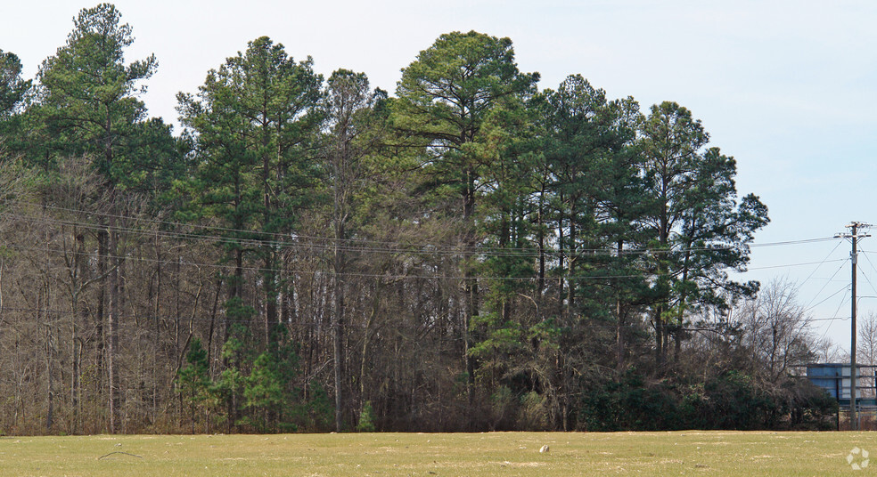 I-95, Benson, NC à vendre - Photo principale - Image 1 de 1