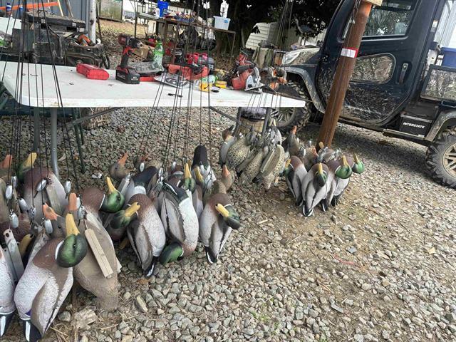 293 E Sidney Noble Ln, DeWitt, AR à vendre - Photo principale - Image 2 de 49