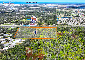 More details for 3005 Moccasin Wallow Rd, Palmetto, FL - Land for Sale