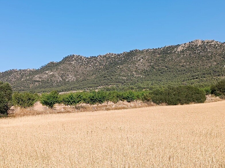 Land in Yecla, Murcia for sale - Aerial - Image 1 of 2