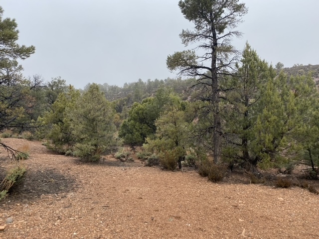 Cabin Springs Rd, Las Vegas, NV for sale Building Photo- Image 1 of 12