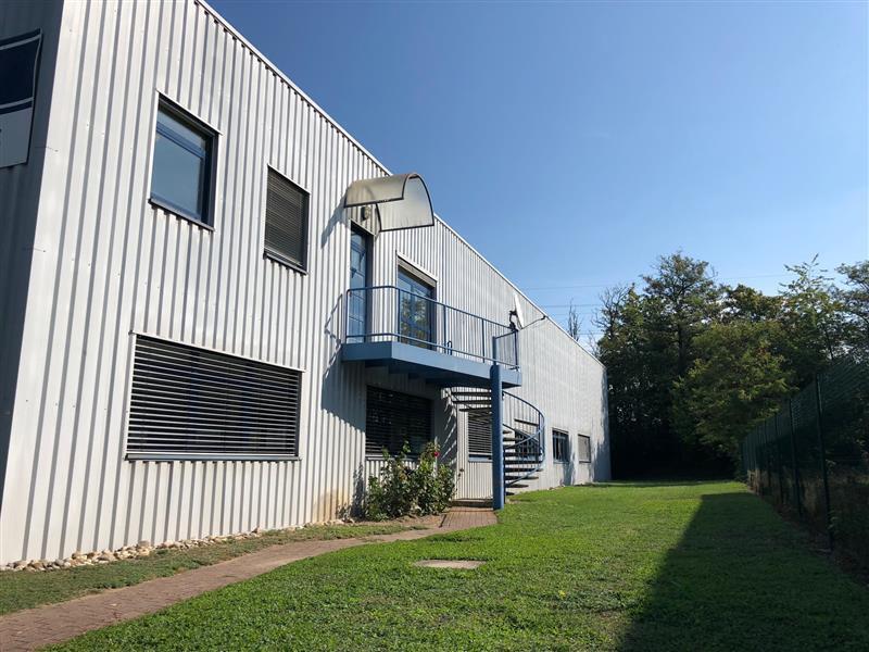Flex in Geispolsheim for lease Building Photo- Image 1 of 8
