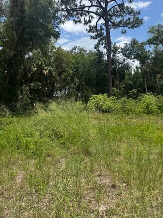 More details for 16220 Leonard St, Umatilla, FL - Land for Sale