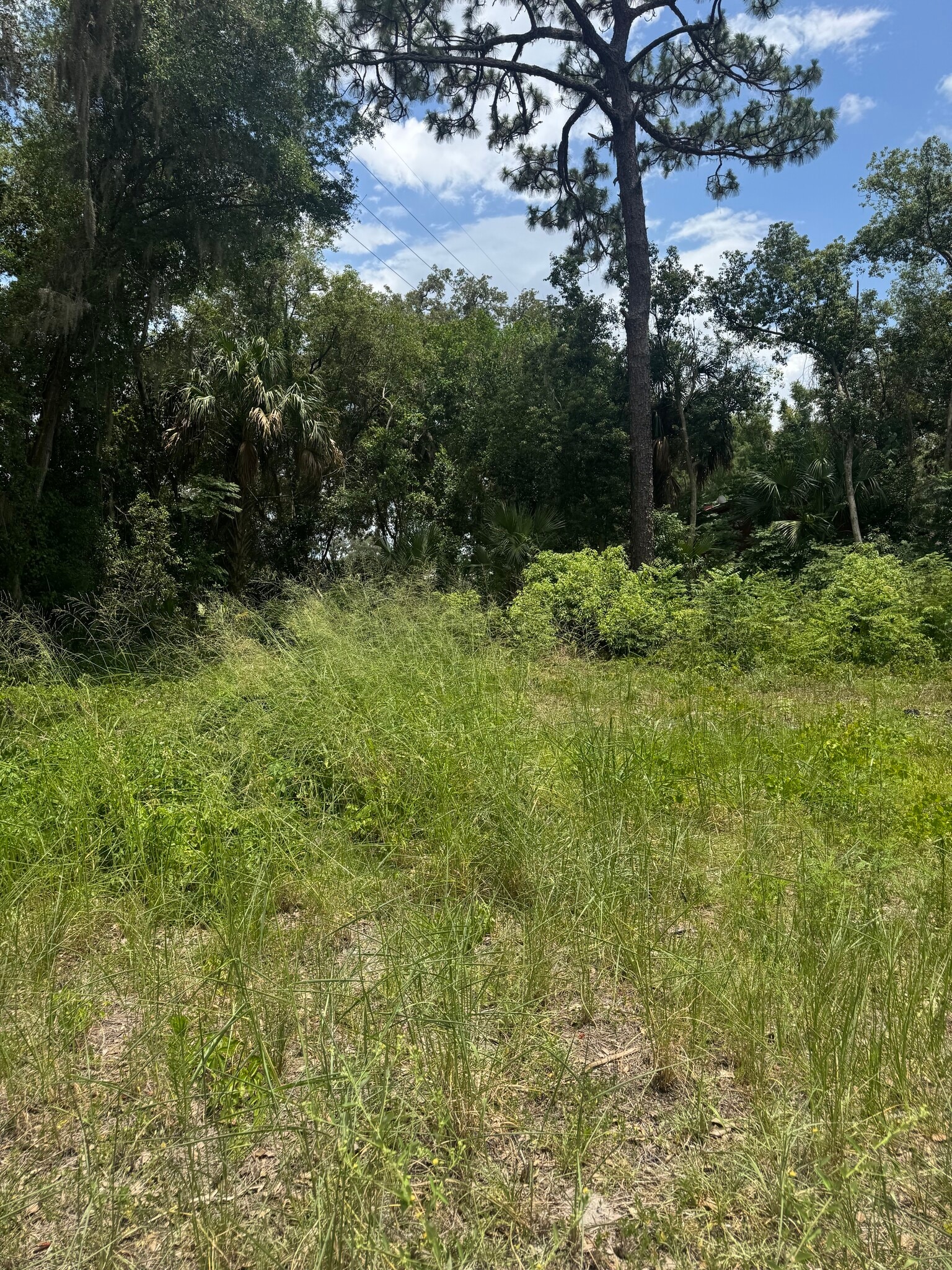 16220 Leonard St, Umatilla, FL for sale Other- Image 1 of 5