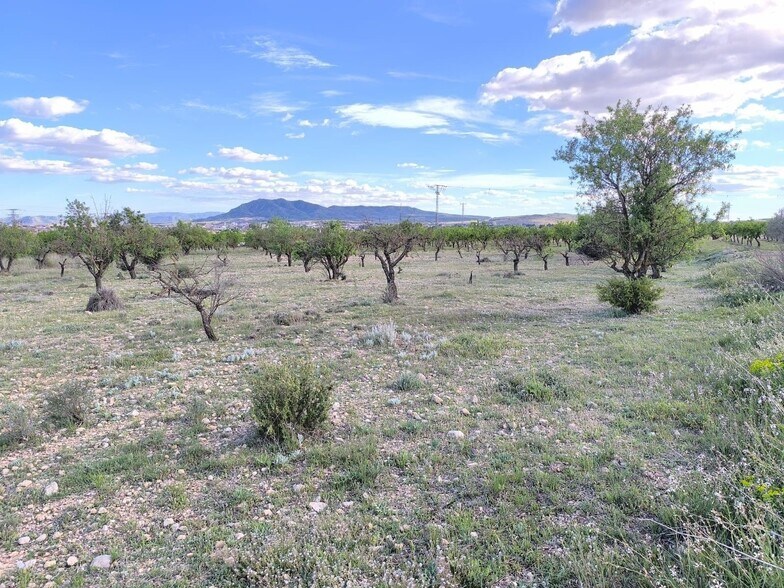 Land in Caudete, Albacete for sale - Aerial - Image 3 of 6