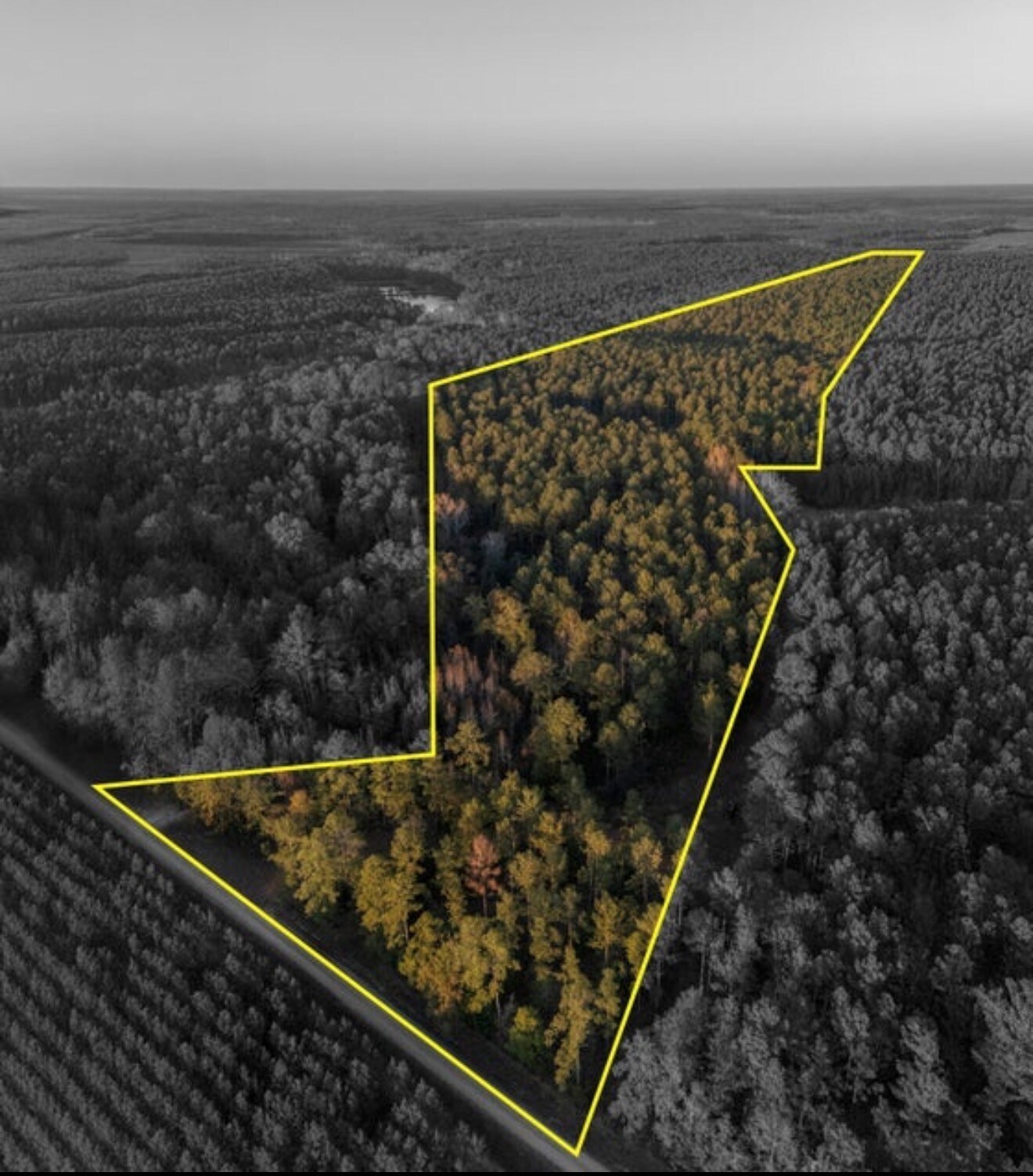 Tbd Barr Chapel Road, Edgefield, SC for sale Primary Photo- Image 1 of 4