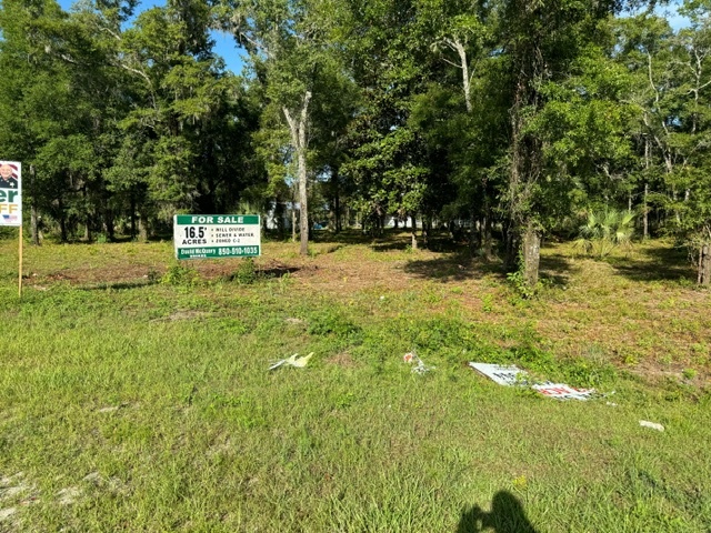 605 Floyd Gray Rd, Crawfordville, FL à vendre - Photo principale - Image 2 de 7