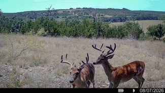More details for CR 535, Evant, TX - Land for Sale