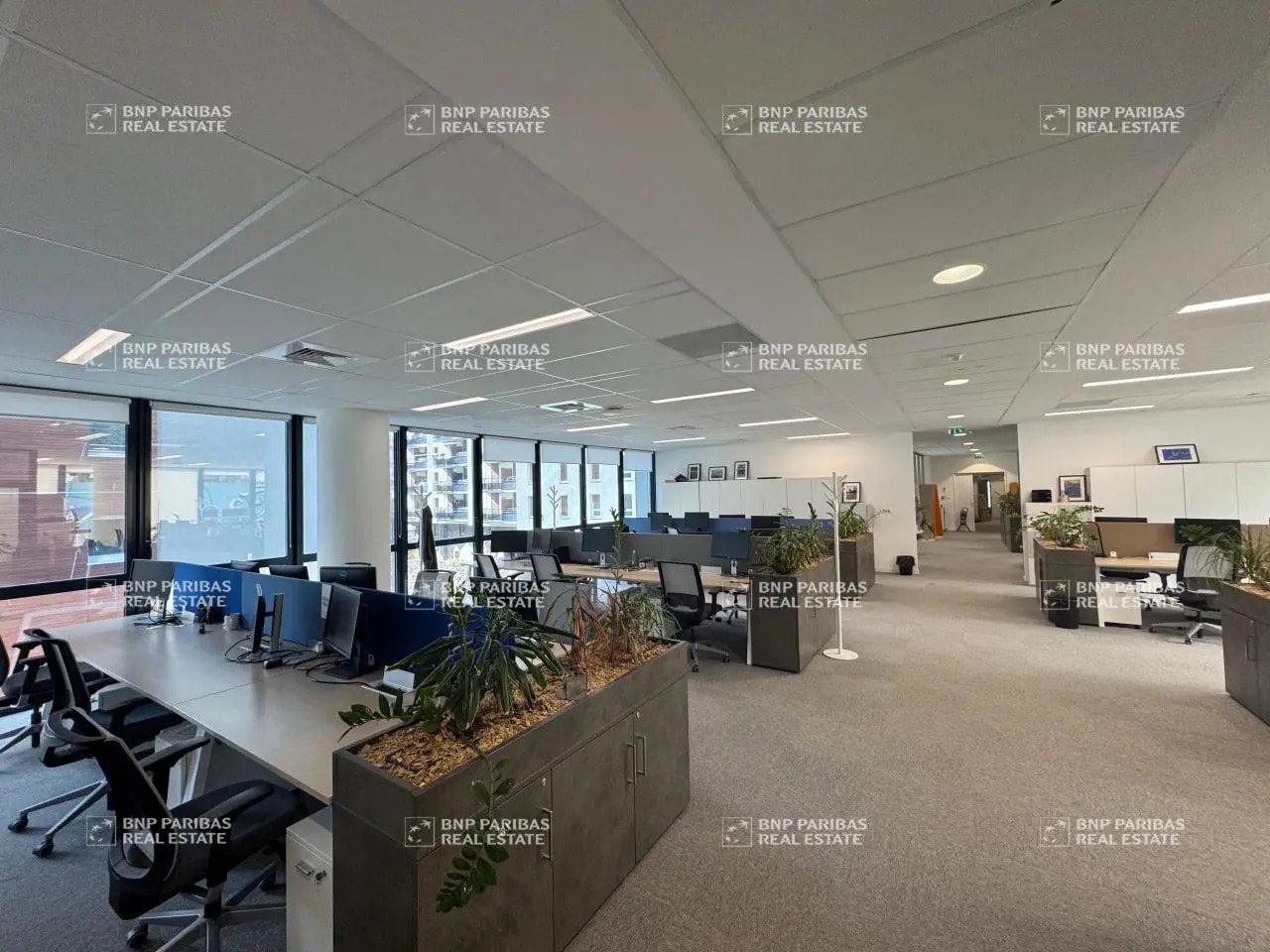 Office in Marseille for lease Building Photo- Image 1 of 22