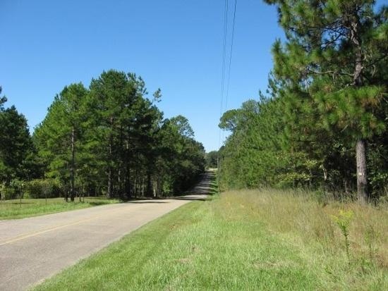 119 Acres In Lamar County Ms, Lumberton, MS for sale - Primary Photo - Image 1 of 7