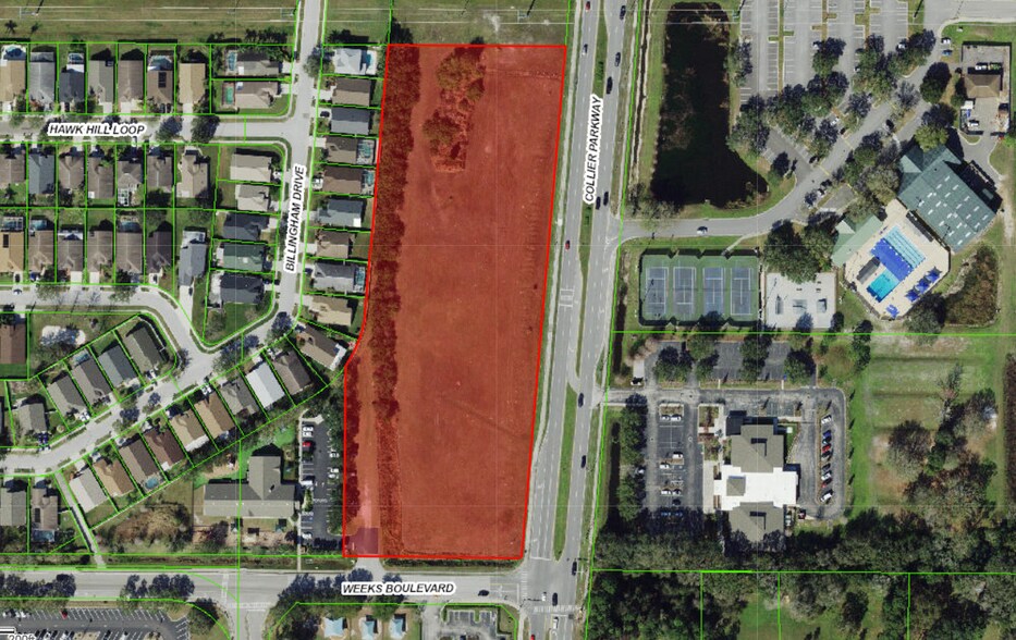 Collier Parkway & Weeks Blvd, Land O' Lakes, FL à vendre - Photo du bâtiment - Image 1 de 9