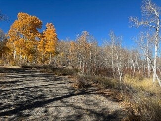 More details for Crowley Lake Dr, Mammoth Lakes, CA - Land for Sale