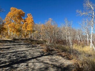 Plus de détails pour Crowley Lake Dr, Mammoth Lakes, CA - Terrain à vendre