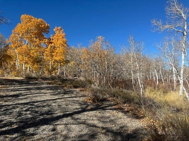 Crowley Lake Dr, Mammoth Lakes, CA for sale Primary Photo- Image 1 of 5