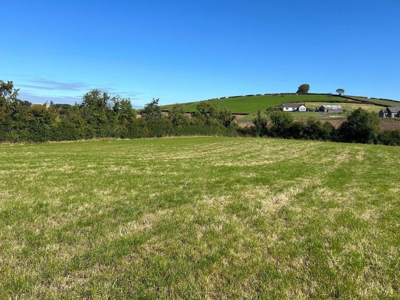 Killyliss Rd, Dungannon for sale - Aerial - Image 3 of 3