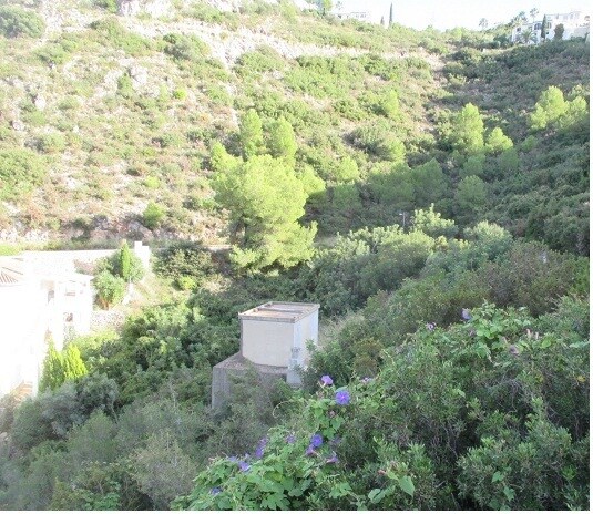 Carrer de los Naranjos, Pego, Alicante for sale - Primary Photo - Image 3 of 10