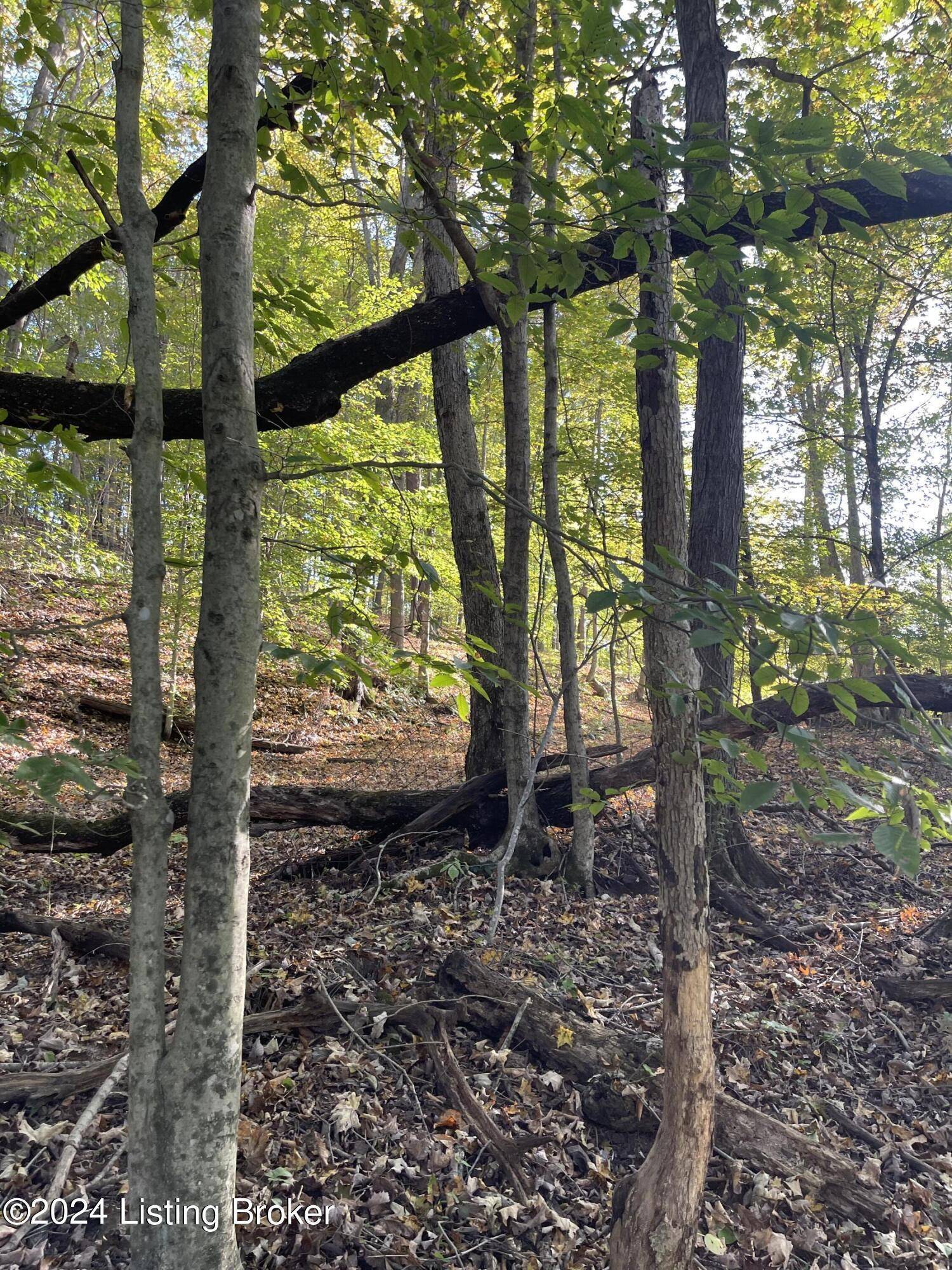 370 Gracie Ln, Caneyville, KY à vendre Photo principale- Image 1 de 1