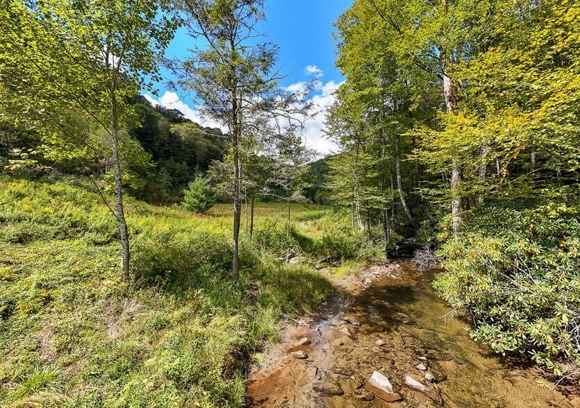 9765 Little Snowbird Rd, Robbinsville, NC à vendre - Photo du bâtiment - Image 2 de 5