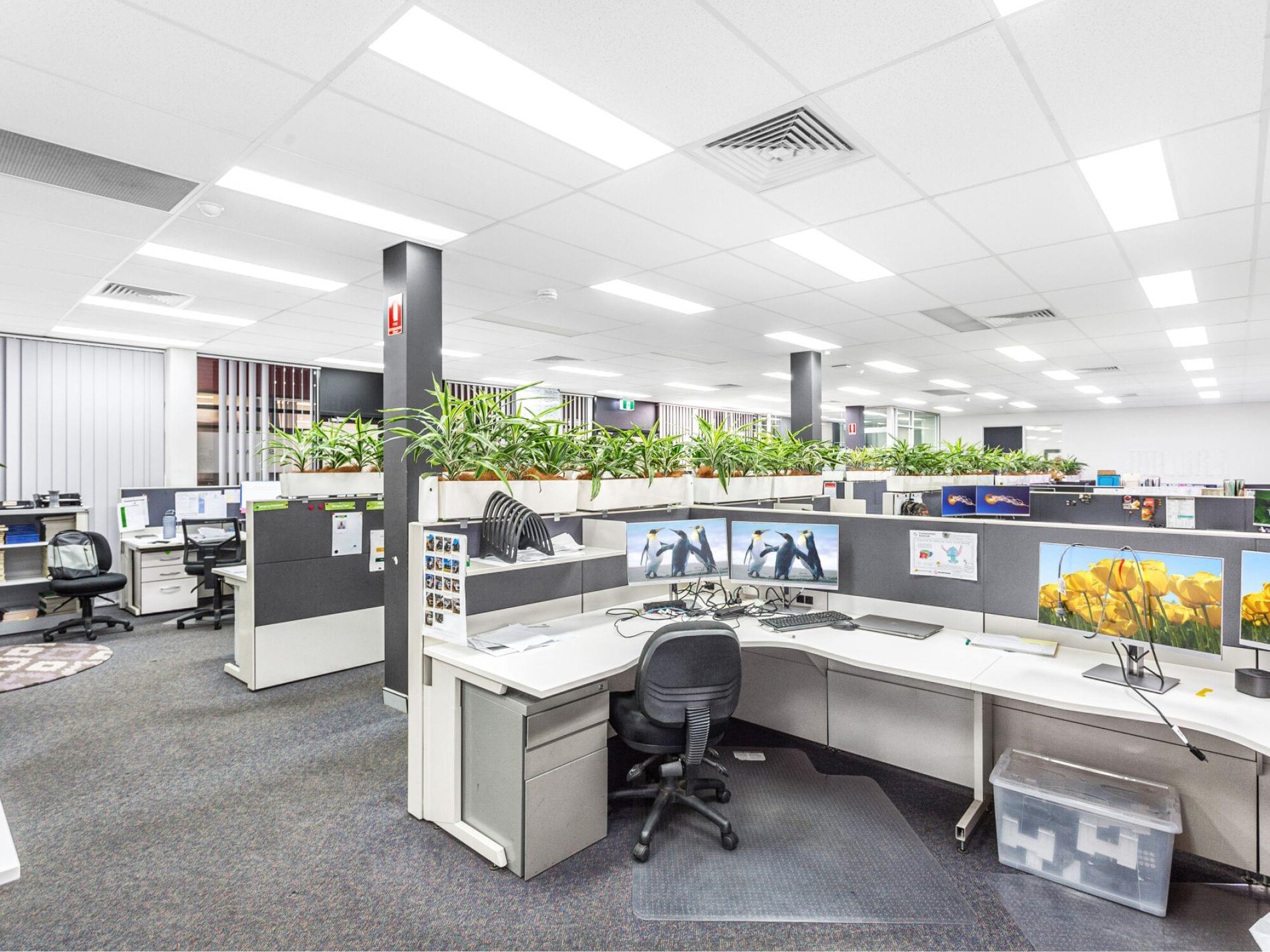22H Powers Rd, Seven Hills for lease Interior Photo- Image 1 of 7