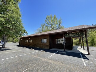 Plus de détails pour 35335-35297 Highway 41, Coarsegold, CA - Bureau/Médical à louer