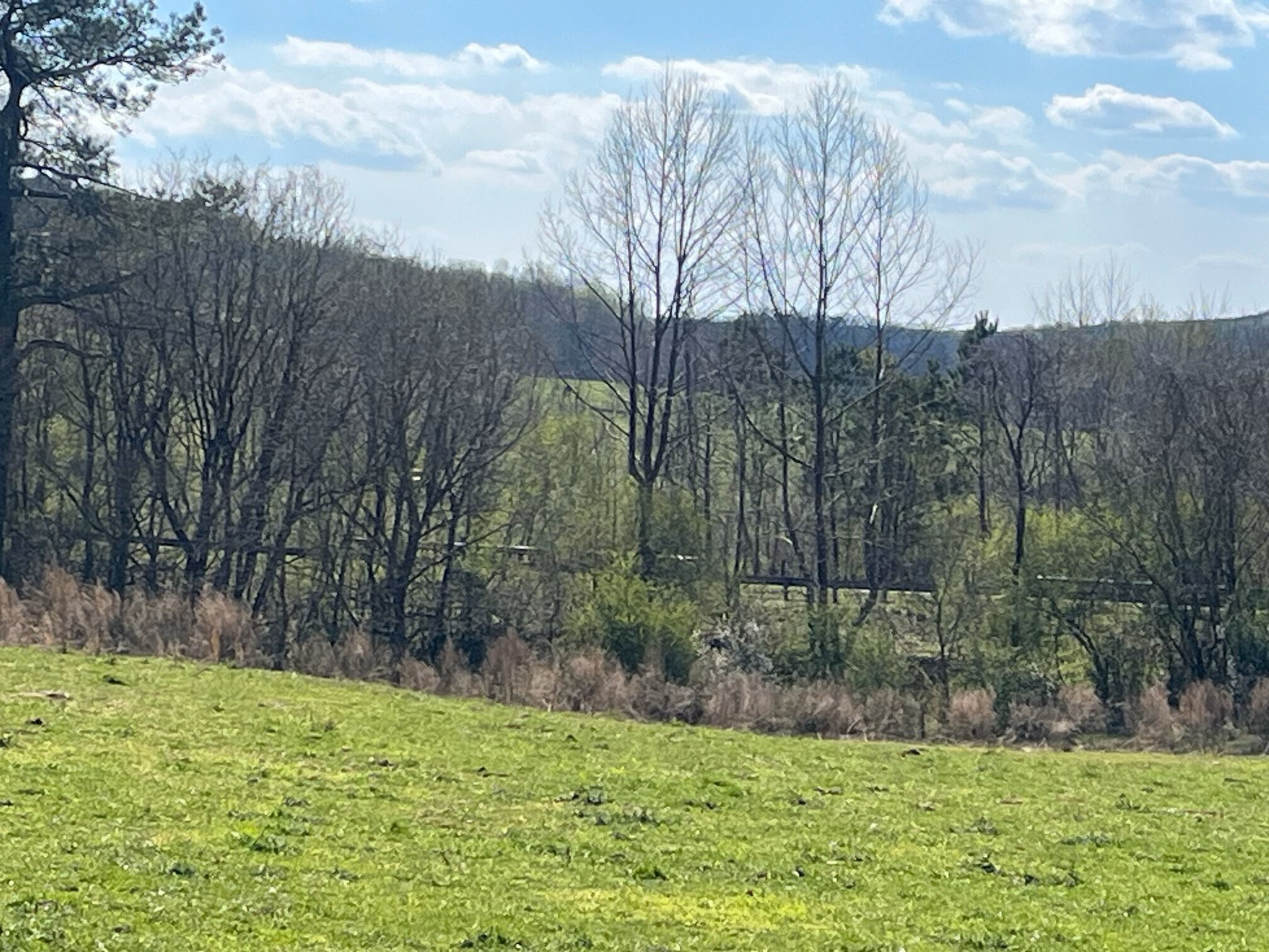 1188 Julius Bridge Rd, Ball Ground, GA for sale Primary Photo- Image 1 of 6