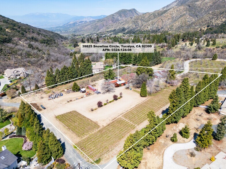 39285 Snowline Circle, Oak Glen, CA à vendre - Photo du bâtiment - Image 3 de 32