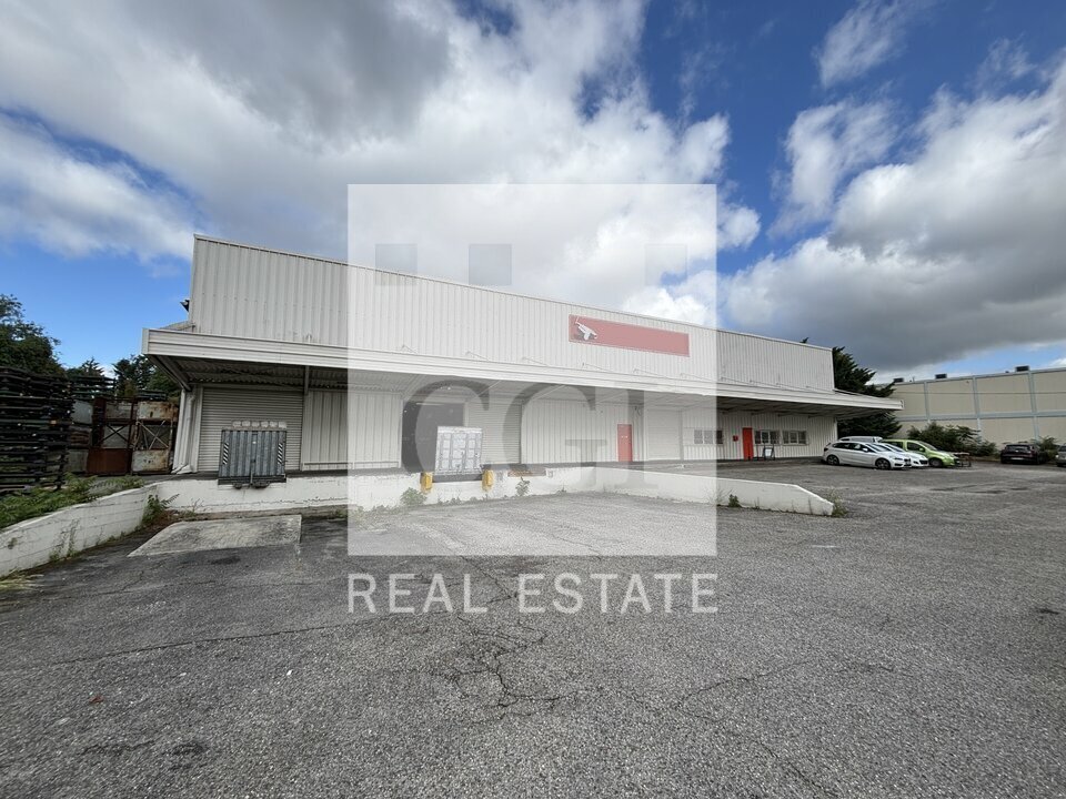 Flex in Villeurbanne for lease Building Photo- Image 1 of 12