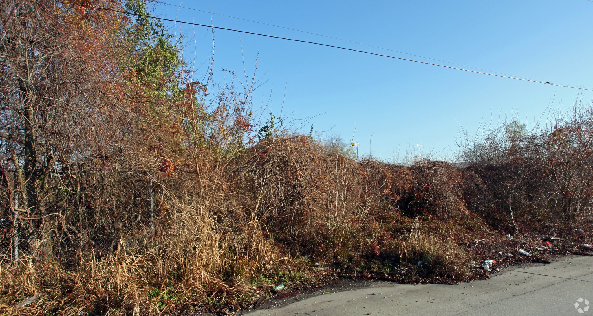 3901 Louisa St, New Orleans, LA for lease Primary Photo- Image 1 of 4