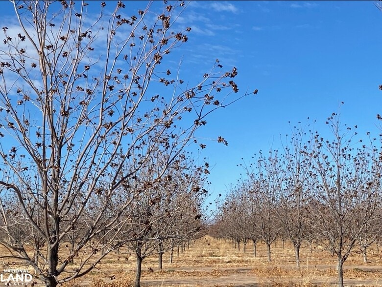 0 Hwy 38, Cotton City, NM à vendre - Aérien - Image 3 de 26
