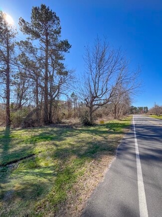 More details for 128 NC-41, Wallace, NC - Land for Sale