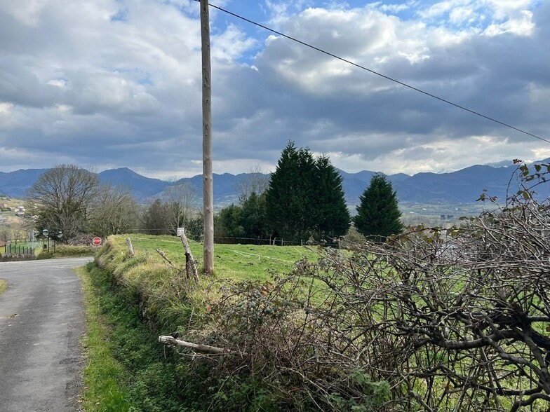 Alameda Cuenya, 25, Nava, Asturias à vendre - Aérien - Image 2 de 4