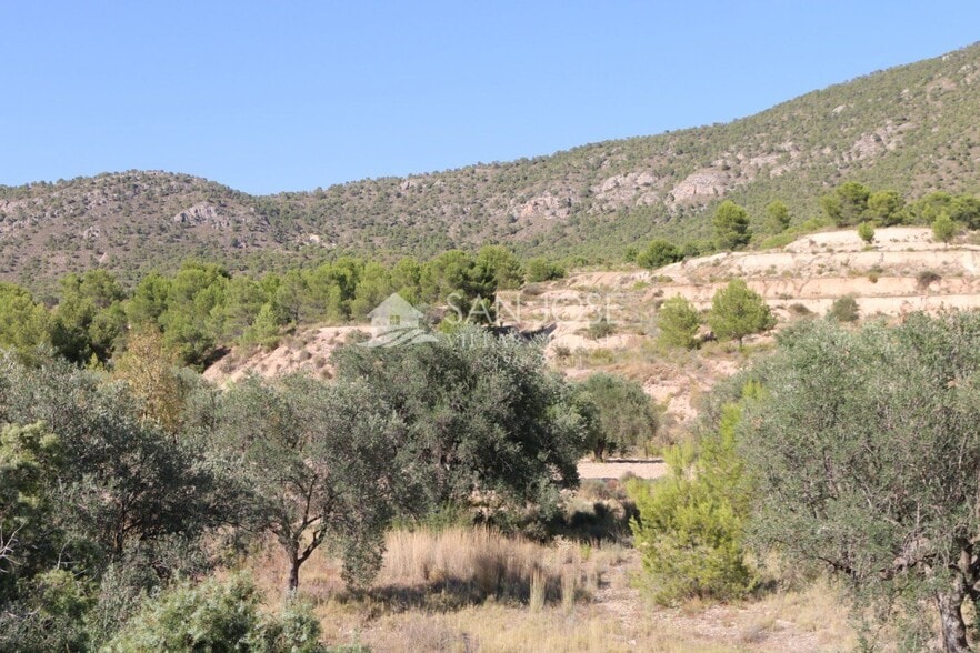 Terrain dans MONÒVER, Alicante à vendre - Photo principale - Image 3 de 23