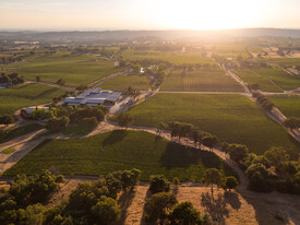 Shenandoah Legacy Estate Winery - Vignoble