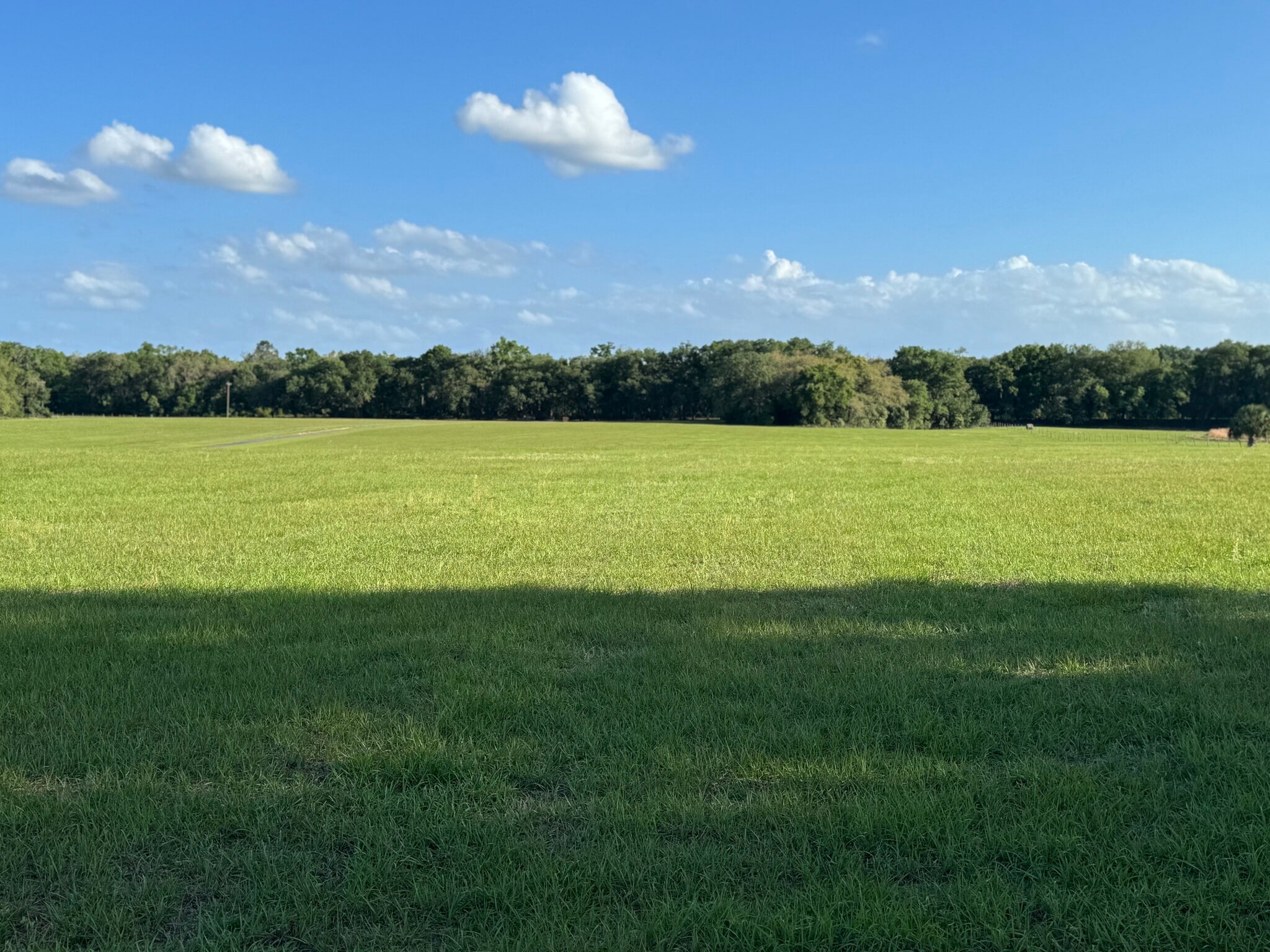 4401 Griffin View Dr, Lady Lake, FL for sale Primary Photo- Image 1 of 4