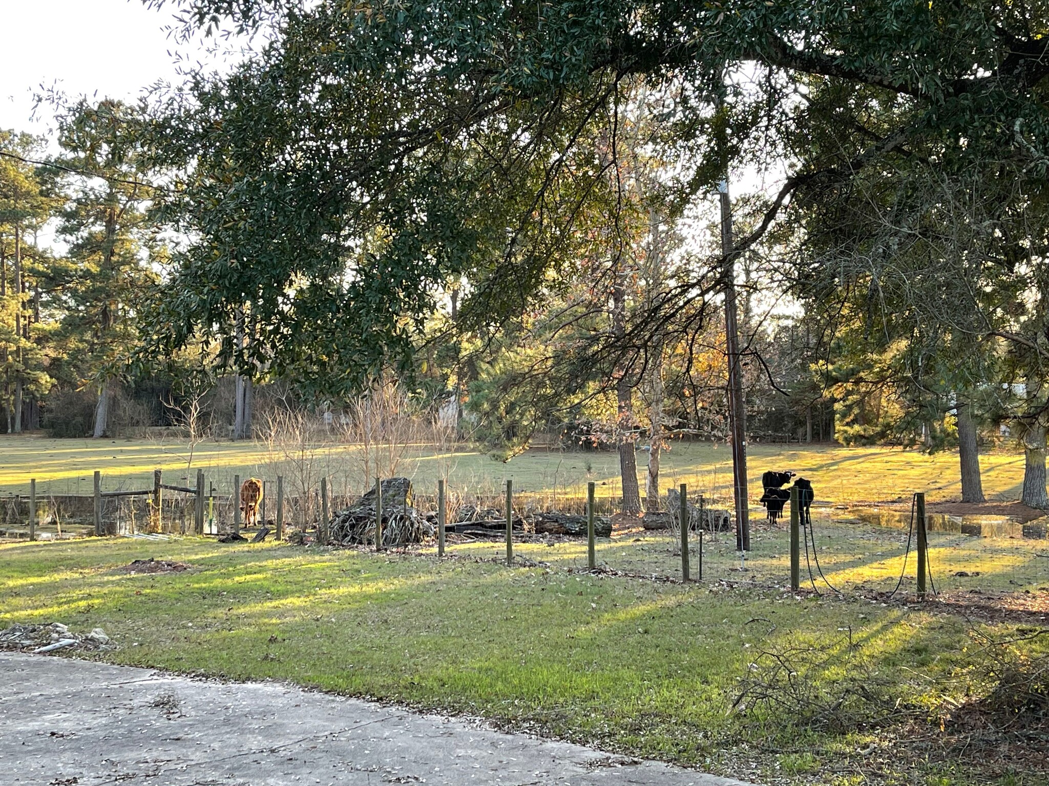 000 Connor Reinhardt, New Caney, TX à vendre Photo principale- Image 1 de 1