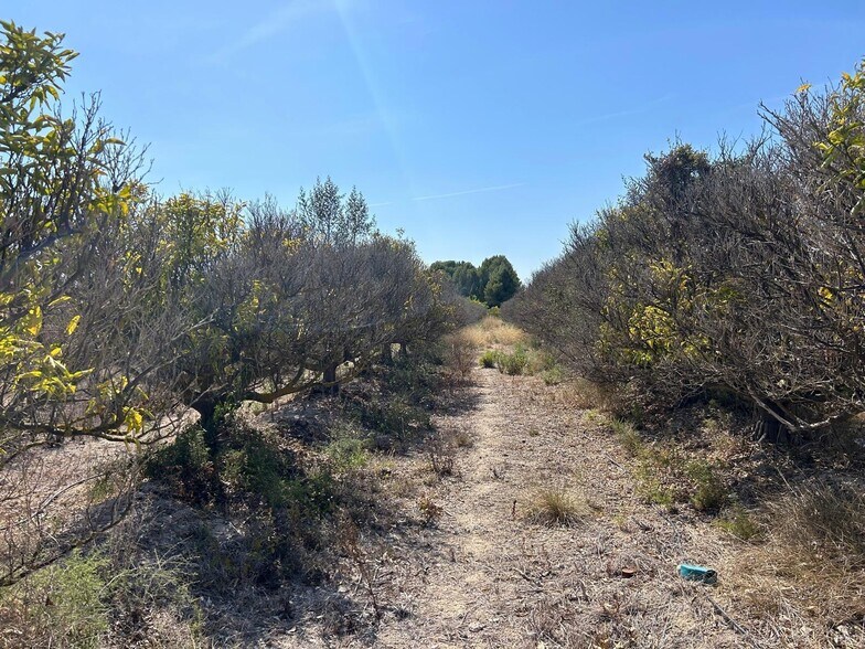Terrain dans XÀBIA, Alicante à vendre - Photo du bâtiment - Image 3 de 10