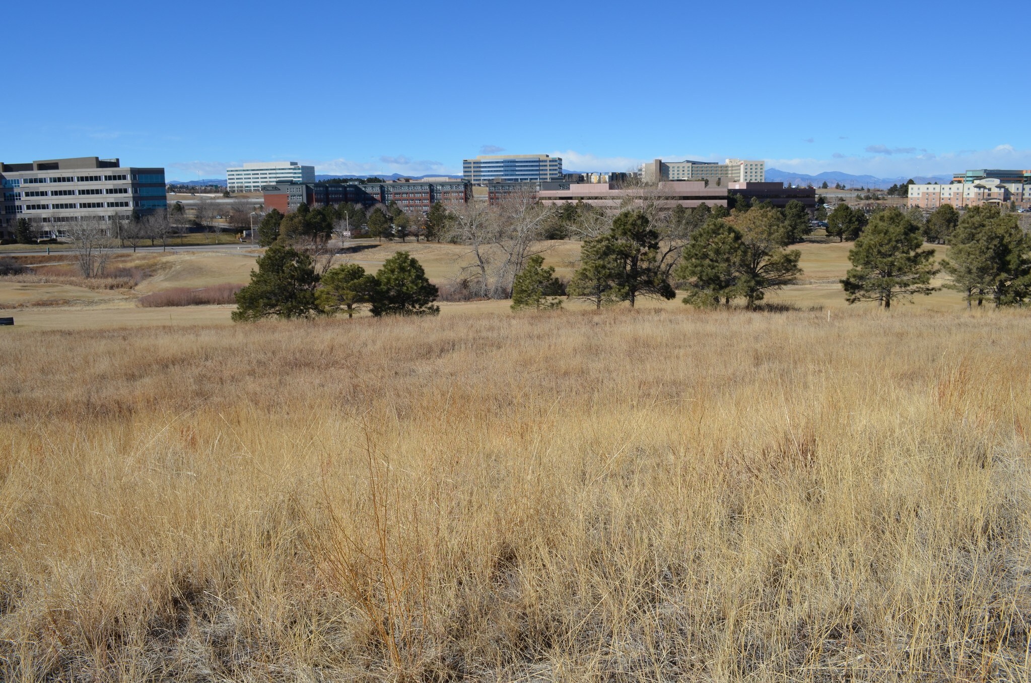 9665 Maroon Cir, Englewood, CO for sale Building Photo- Image 1 of 3