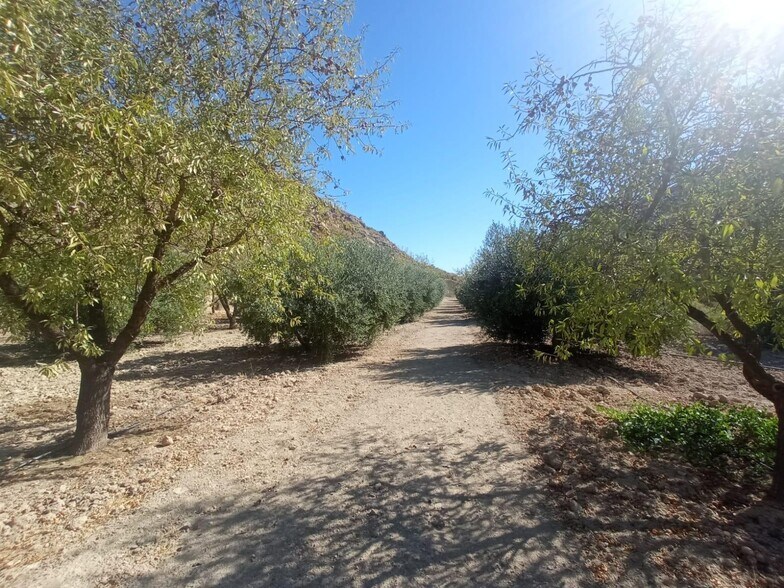 Terrain dans Lorca, Murcia à vendre - Photo du bâtiment - Image 2 de 41