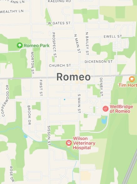 149 W Saint Clair St, Romeo, MI for sale - Building Photo - Image 2 of 23