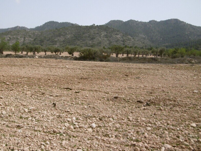 Land in Yecla, Murcia for sale - Site Plan - Image 2 of 3