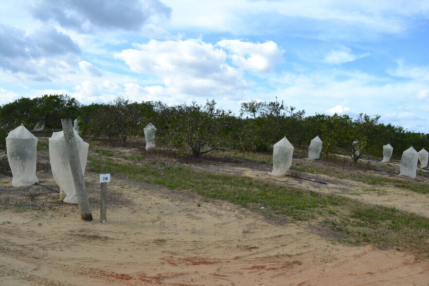 Scenic Highway, Babson Park, FL à vendre - Photo du bâtiment - Image 2 de 17