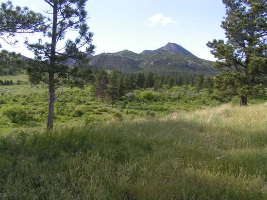 Gozlin, Zortman, MT à vendre - Photo principale - Image 1 de 2