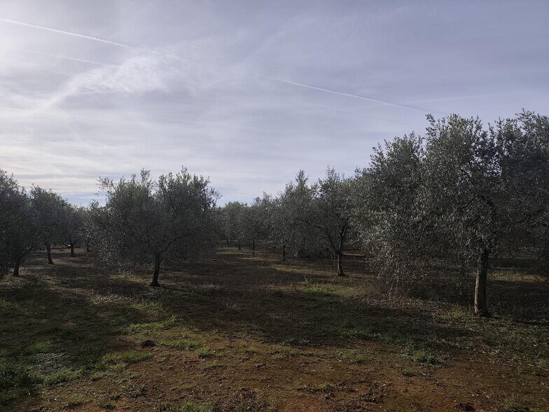 Land in Castelló de la Plana, Castellón for sale - Primary Photo - Image 1 of 6