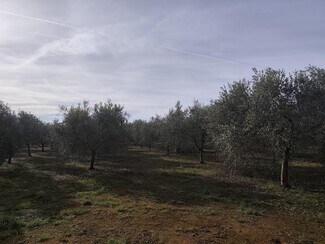 More details for Land for Sale