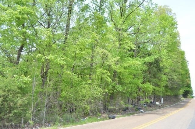 4439-A Clarke Rd, Memphis, TN à louer - Photo du bâtiment - Image 2 de 4